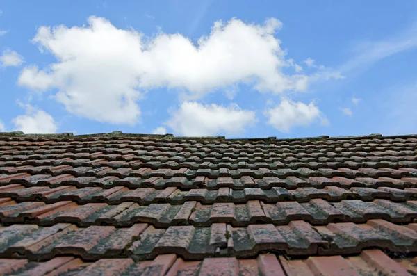 Greenville’s Roof Installation Experts for Your Next Project