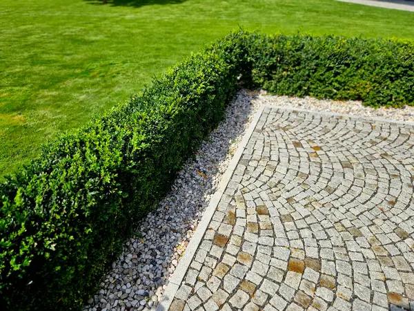 From Patios to Pathways: Burlingame Hardscaping Contractors You Can Trust